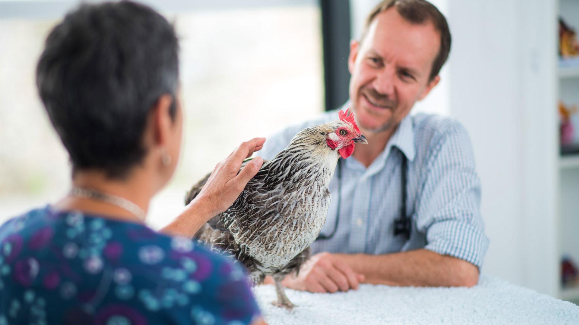 Poultry Consultation-service-image