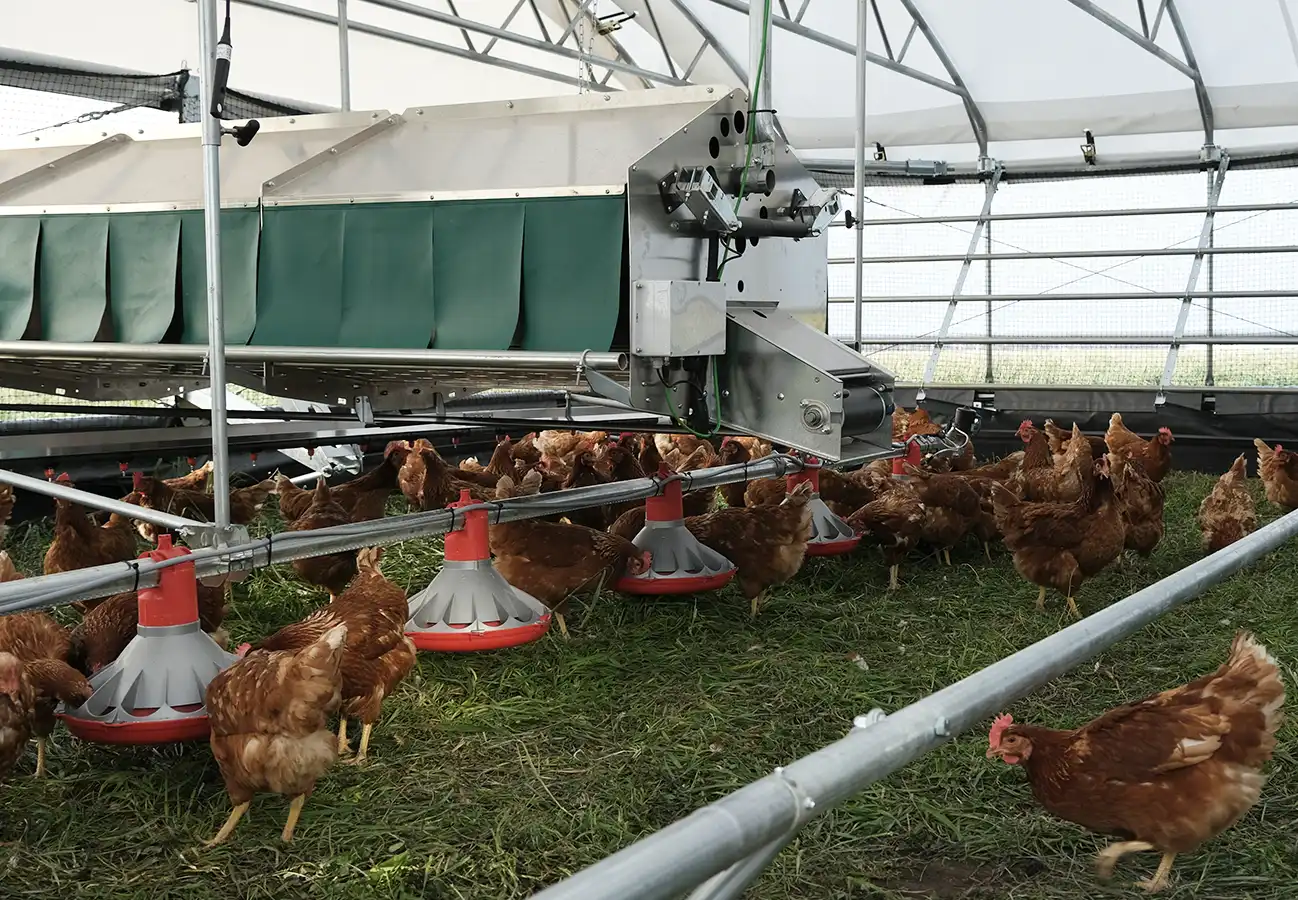 Poultry Farm Setup-service-image